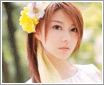 组图:a href=