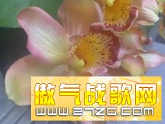 Ҳź!ŵܻN96 