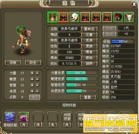 宠物界面