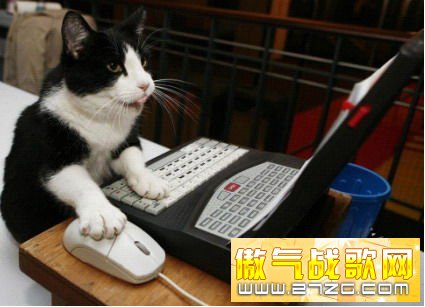 揭秘游戏圈神秘职业 谁在为女玩家做视频验证
