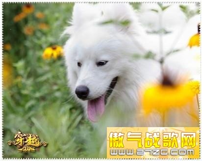 最新图片